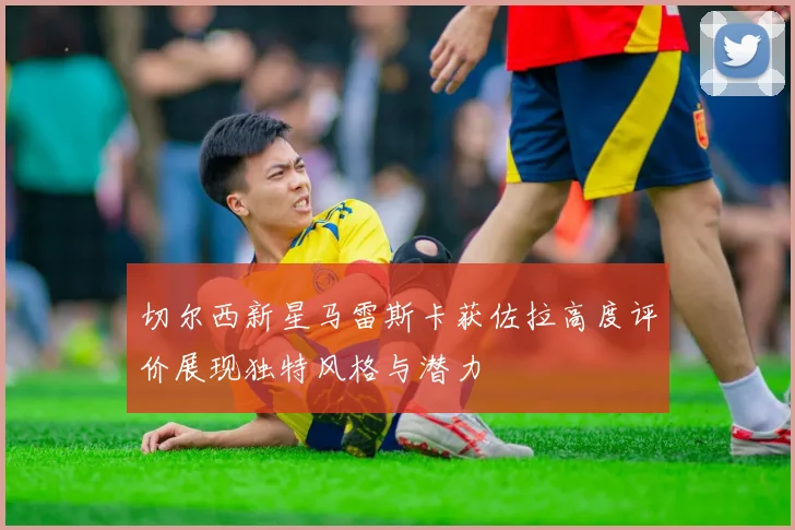 切尔西新星马雷斯卡获佐拉高度评价展现独特风格与潜力