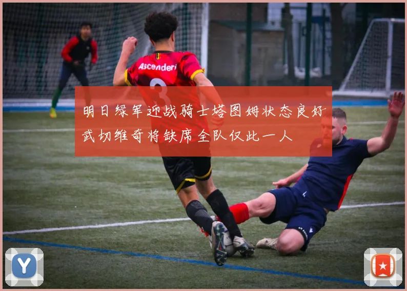 明日绿军迎战骑士塔图姆状态良好武切维奇将缺席全队仅此一人